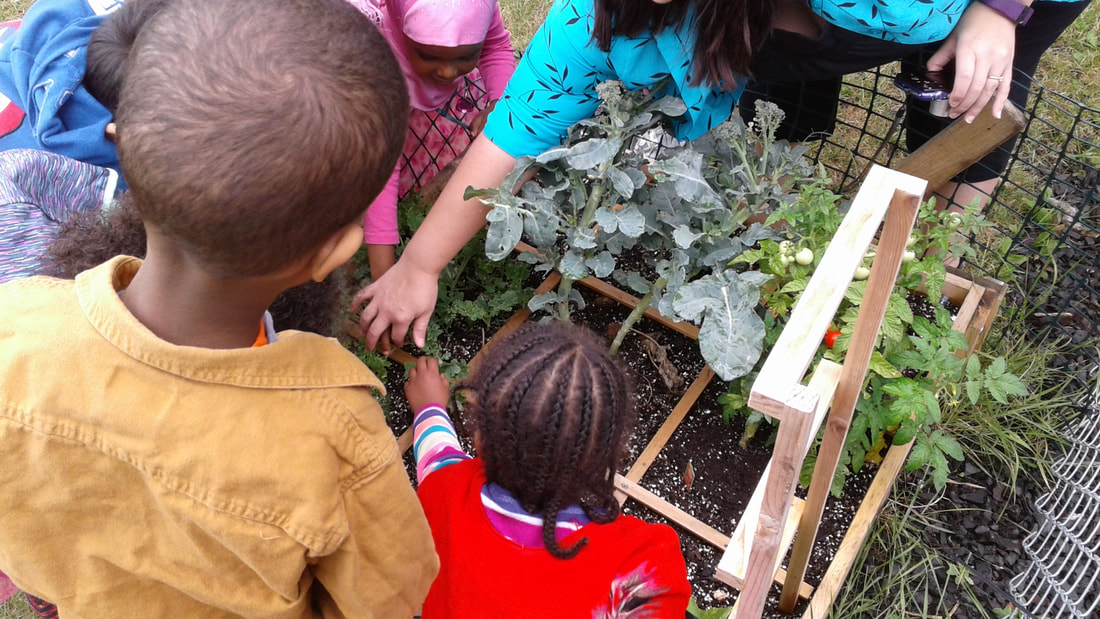 Children tending plants together at Jasmin